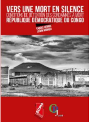 Mission d’enquête RDC